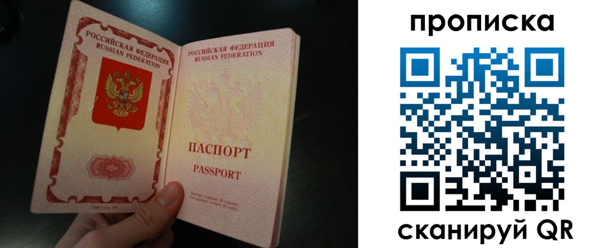 прописка штамп в Александровске